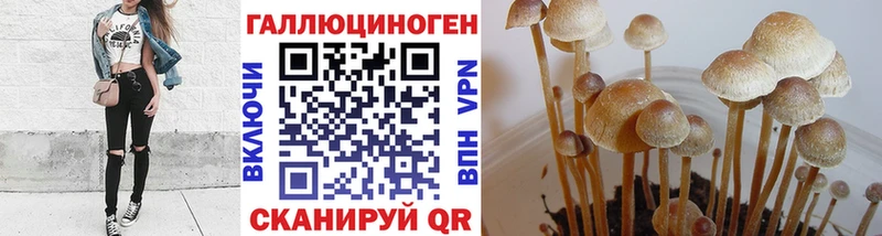 МЕГА сайт  Кировград  Псилоцибиновые грибы мицелий  цена  